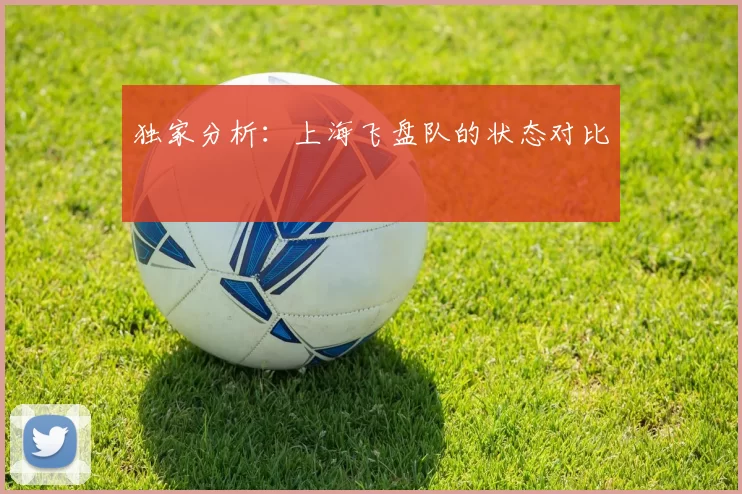 独家分析：上海飞盘队的状态对比