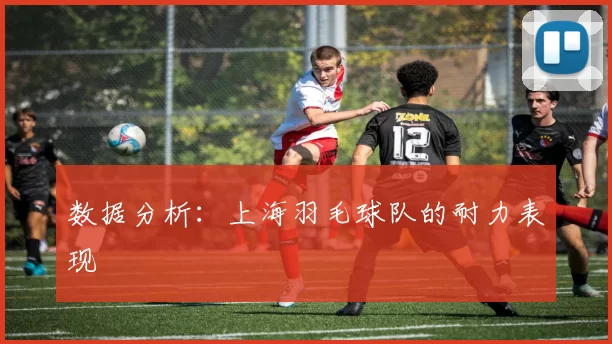 数据分析：上海羽毛球队的耐力表现