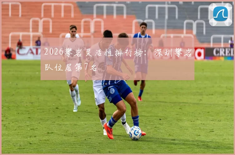 2026攀岩灵活性排行榜：深圳攀岩队位居第7名