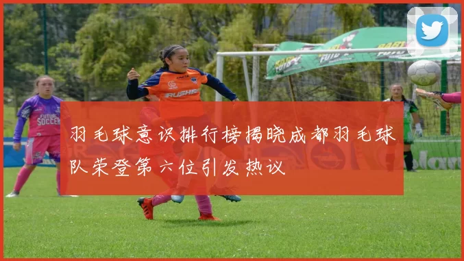 羽毛球意识排行榜揭晓成都羽毛球队荣登第六位引发热议