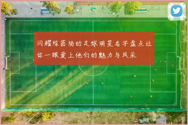 闪耀绿茵场的足球明星名字盘点让你一眼爱上他们的魅力与风采