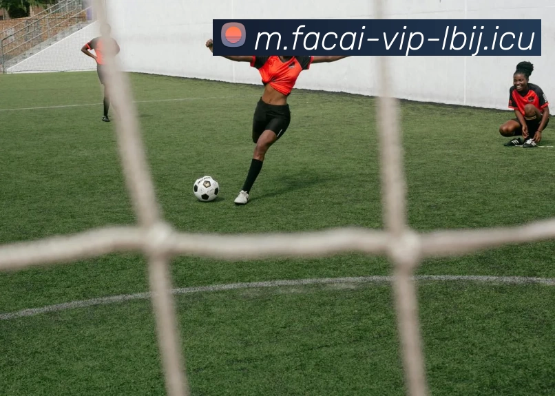 九游体育发展历程